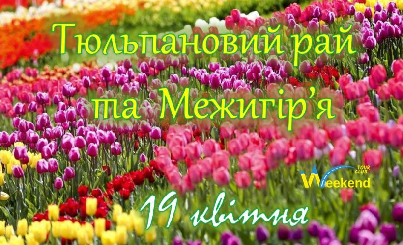 19.04.25